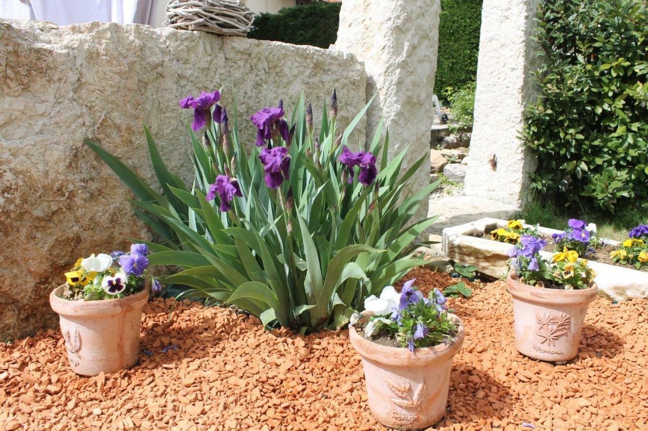 Les Trois Maisons Hébergement de vacances Druillat